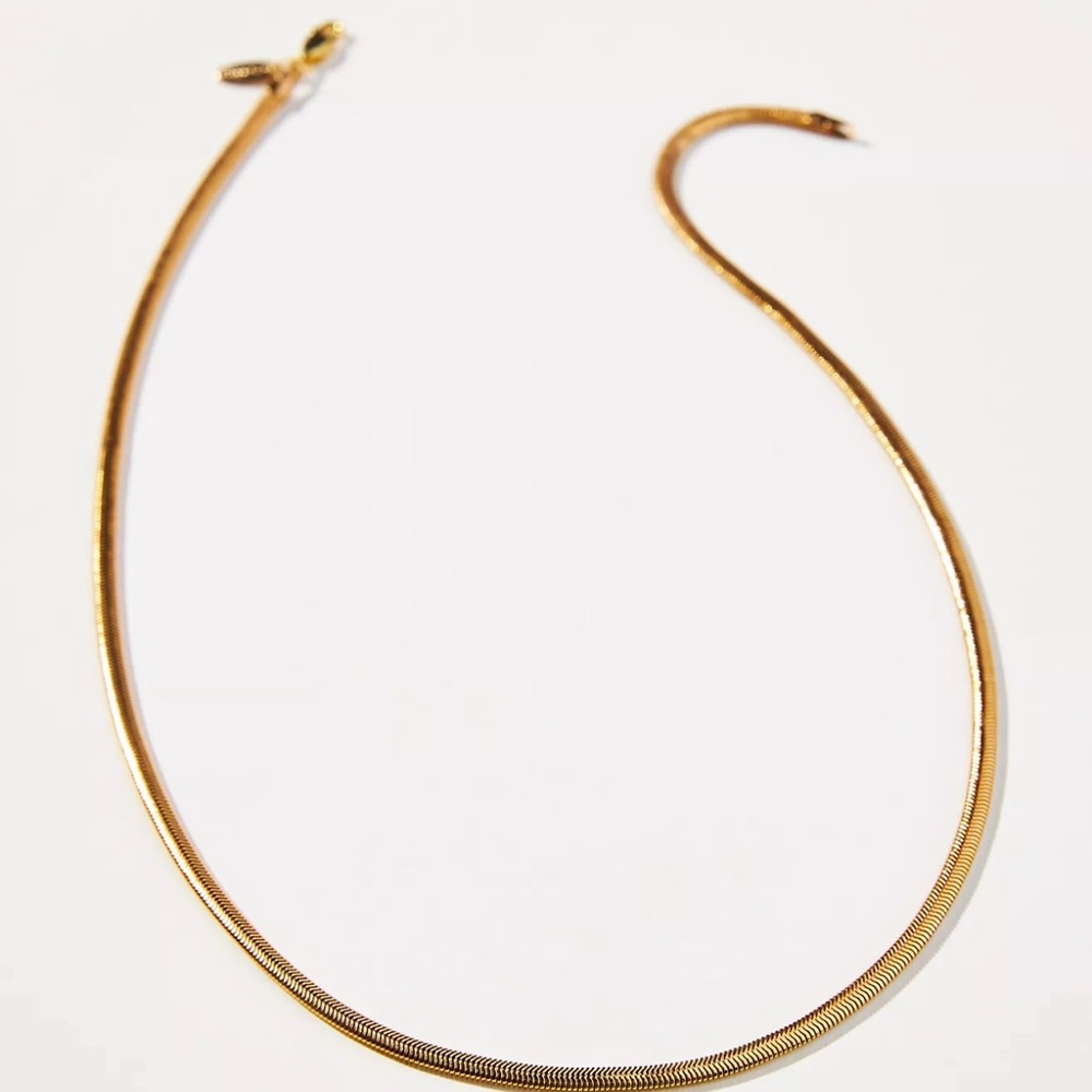 Anthropologie sleek chain necklace